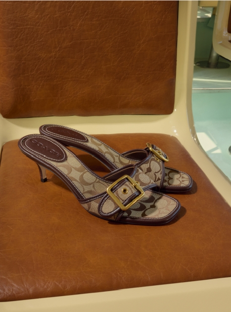 Coach shoes